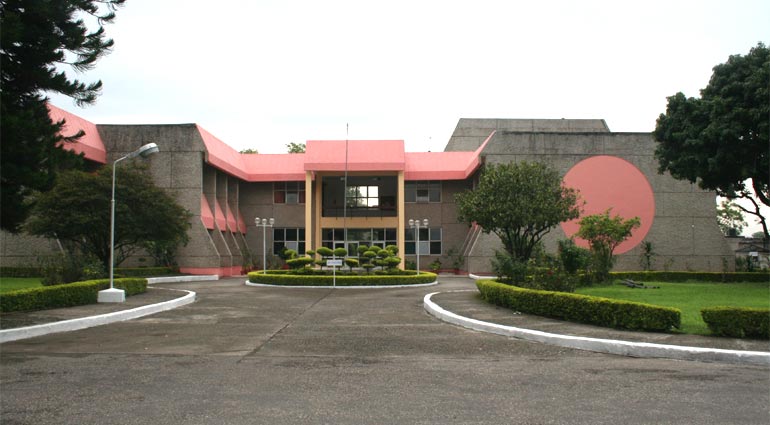 Wadia Institute